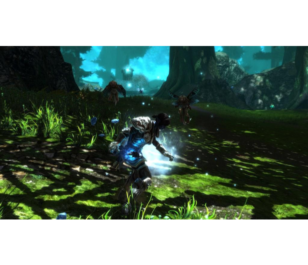Kingdoms of Amalur - Reckoning Definitive Ed. PS4 - 593648 - zdjęcie 2